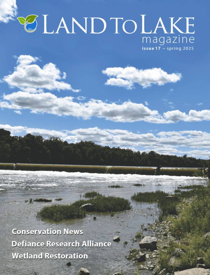 Issue 17 | Spring 2025