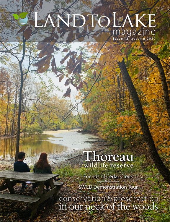 Issue 13 | Autumn 2020